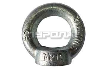 Рым-гайка DIN 582 M 56 оцинк  (1)