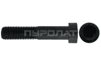 Винт DIN 6912 M 16x 80 10.9  (50)