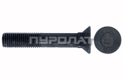 Болт лемешный ГОСТ 7786-70 M 20x100 кл.пр.  8.8 Н/Р  (10)