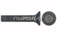 Болт лемешный ГОСТ 7786-70 M 12x100 кл.пр.  5.8 Н/Р  (25)