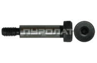 Винт ISO 7379 M 10x100 12.9  (10)