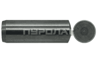 Штифт ГОСТ 3128-70  20x 55 исп. 1  (10)
