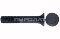 Болт лемешный ГОСТ 7786-70 M 16x 50 кл.пр. 10.9 Н/Р  (25)