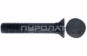 Болт лемешный ГОСТ 7786-70 M 16x 50 кл.пр. 10.9 Н/Р  (25)