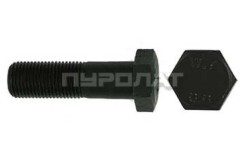 Болт ГОСТ 7796-70 M 12x 75 кл.пр.  8.8 Н/Р  (25)